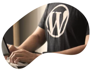 agence de site web wordpress